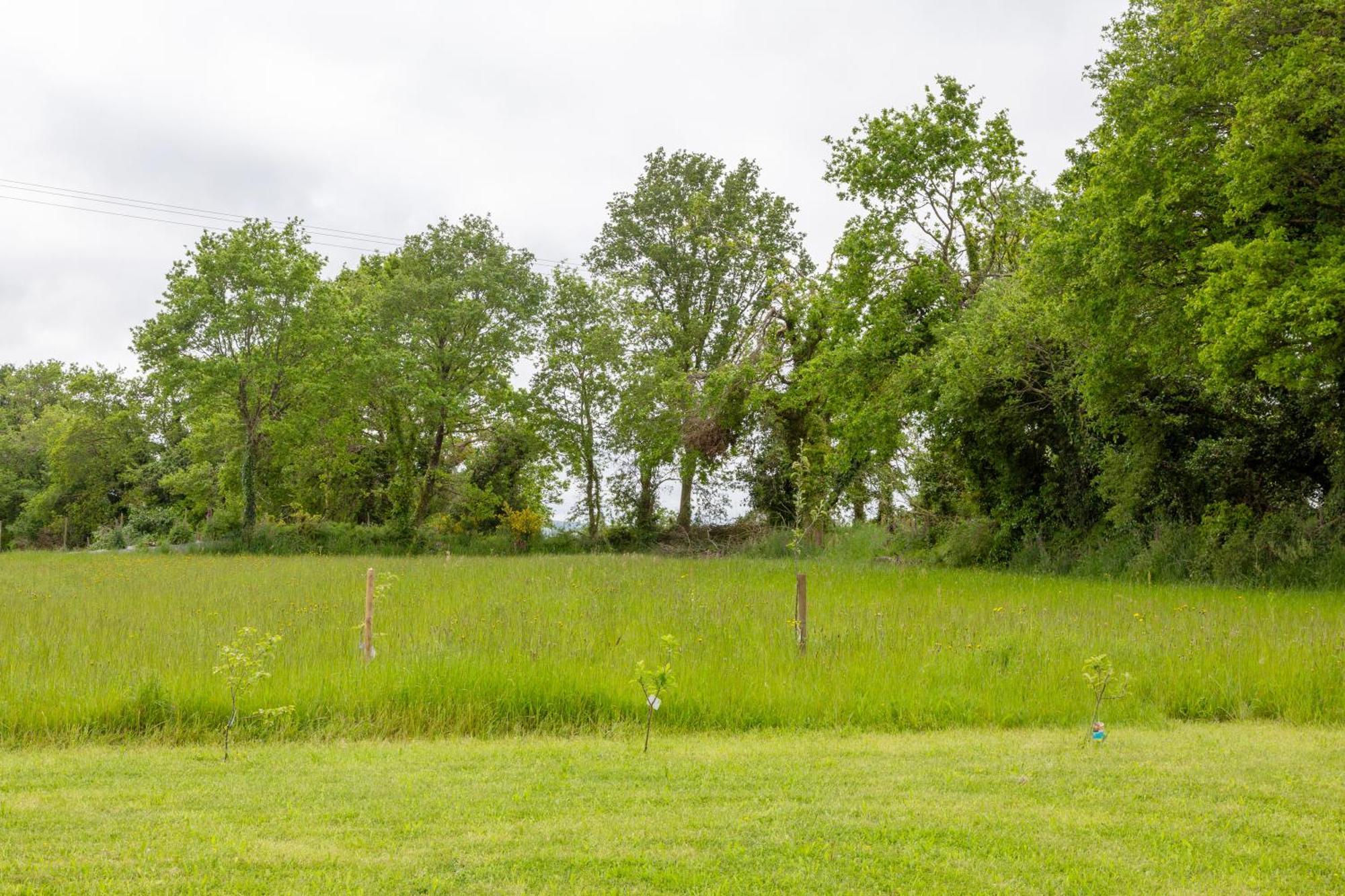 Chalet 5 Personnes, Proche Canal Landeleau